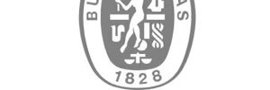 Certificato Bureau Veritas