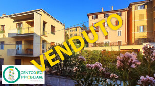 3c13a7da7033a19b5033593c65b2ec9d38f39c82