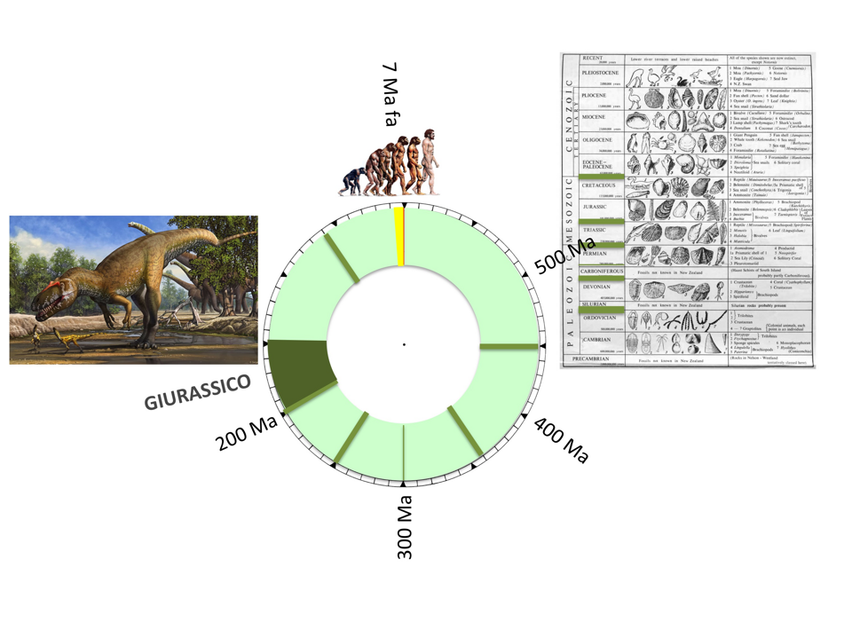 ce9d2787-3edd-4d89-b90c-0a66673bc91e ce9d2787-3edd-4d89-b90c-0a66673bc91e