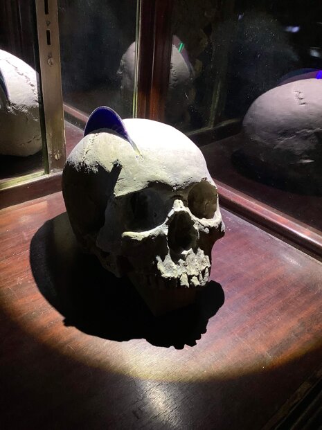 77dabab9-5f2d-420b-b845-47471e526f80 77dabab9-5f2d-420b-b845-47471e526f80