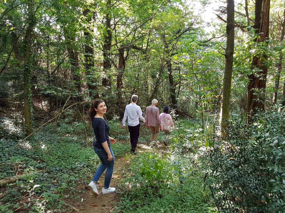 f14ebb8d-e736-4e6c-bacd-d86dabf146d8 f14ebb8d-e736-4e6c-bacd-d86dabf146d8