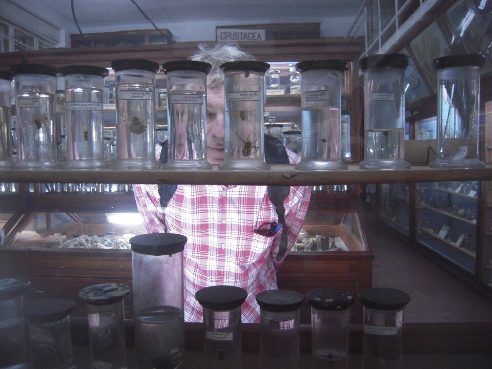 dbe595b6-d3ec-47a0-9952-009c3a4adf2b dbe595b6-d3ec-47a0-9952-009c3a4adf2b