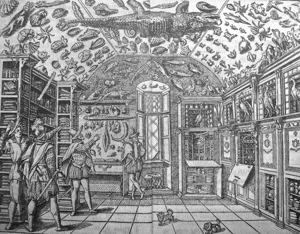 1ad71e82-b1cf-48ef-848b-b4d8acf3e7a9 1ad71e82-b1cf-48ef-848b-b4d8acf3e7a9