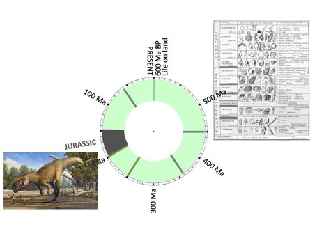 44aec814-f9b5-4ca7-9597-811265c35cb3 44aec814-f9b5-4ca7-9597-811265c35cb3