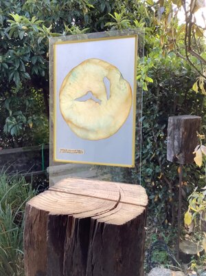 9f453f3e-2476-45e4-81e5-96e651e39881