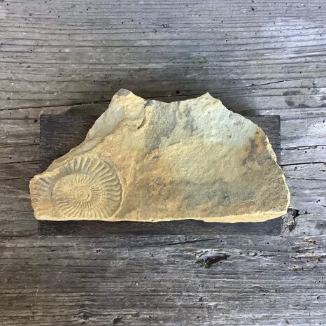 29b54fdb-bd51-457f-9c0b-3e0864f954ce 29b54fdb-bd51-457f-9c0b-3e0864f954ce