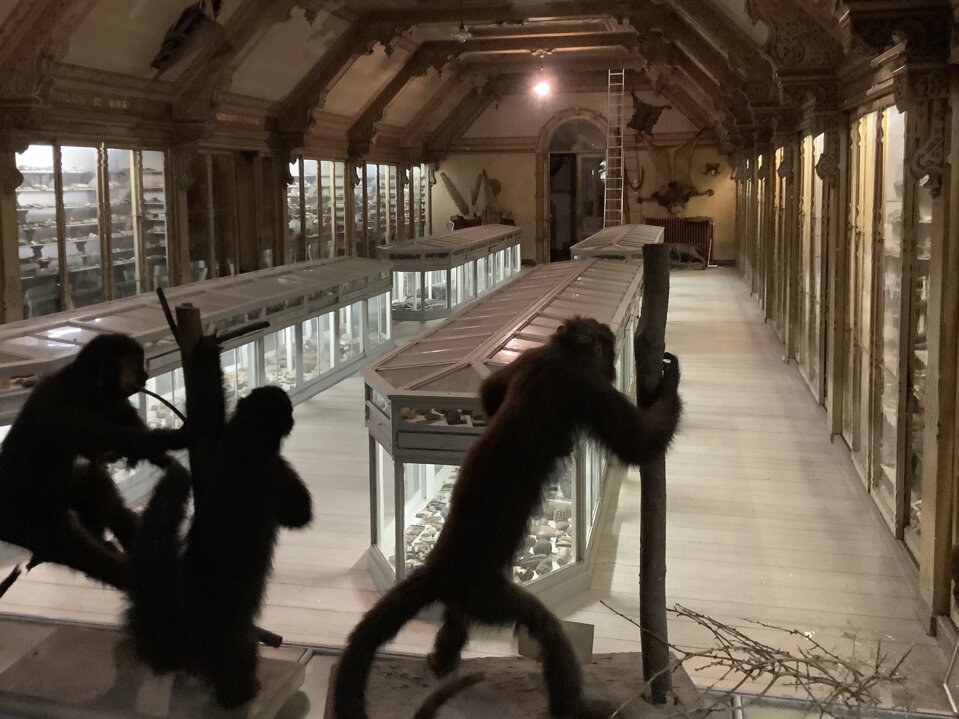 488d9f90-0f66-4cd8-8b1a-792465de6bdb.jpeg 488d9f90-0f66-4cd8-8b1a-792465de6bdb.jpeg