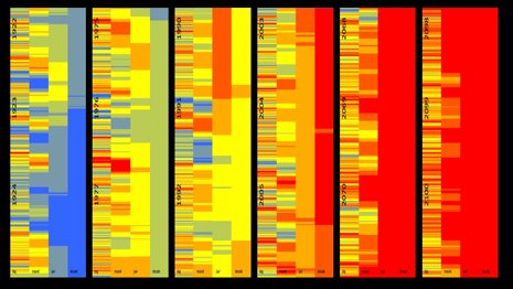 0153c959-67c8-4b85-959d-bc5570ecd7a2 0153c959-67c8-4b85-959d-bc5570ecd7a2
