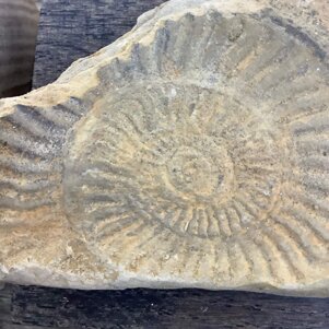 c18ebf9e-ad83-4271-91cf-e04162655d0a