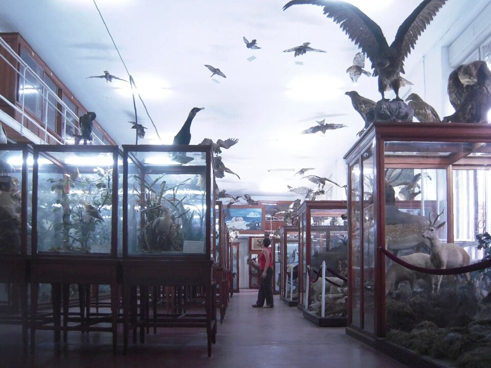 58f858fa-f59c-4f57-9a84-74fe20f07cc6 58f858fa-f59c-4f57-9a84-74fe20f07cc6