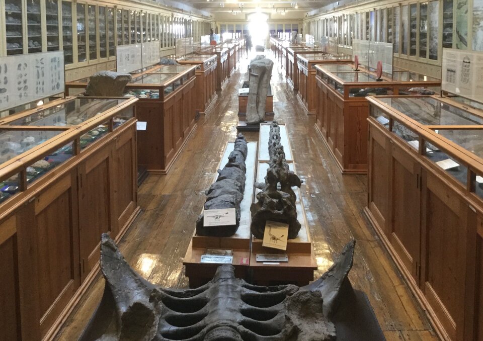 64b06dd8-4443-439e-95bd-b7a0c054602c 64b06dd8-4443-439e-95bd-b7a0c054602c