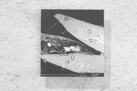 5ea63444-a2cc-4047-afe6-1c0b741f52ac 5ea63444-a2cc-4047-afe6-1c0b741f52ac