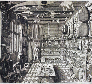 MUSEI WORMIANI HISTORIA 1655, frontispiece from the catalogue of Ole Worm's cabinet of curiosities