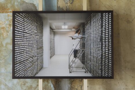 94498b00-5002-4fb5-820a-33c70041953d 94498b00-5002-4fb5-820a-33c70041953d