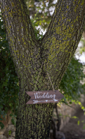 0b230dc6-12e8-4680-8328-c247643bd8f6