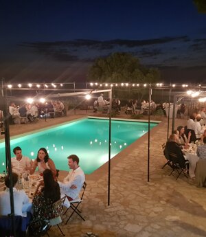 e9355a3610947c5a8b37f43fe31353c974c28621