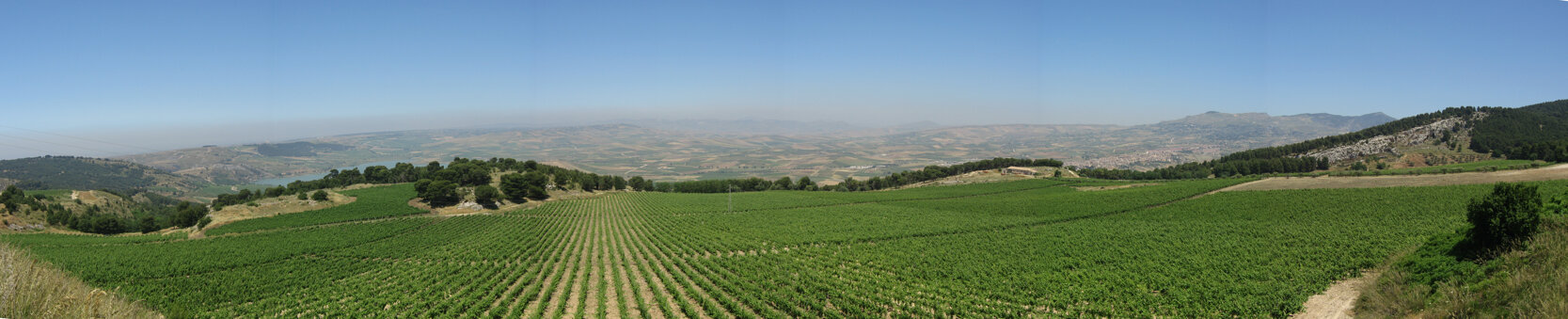 panoramica pepita (2).jpeg