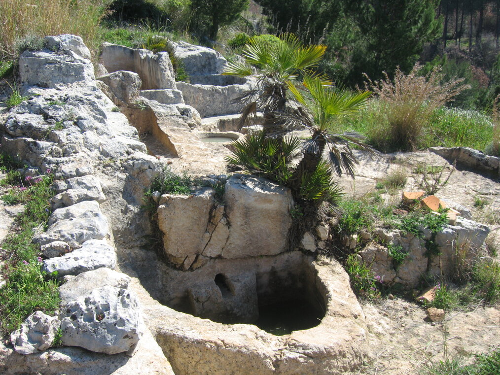 img_0002.jpeg img_0002.jpeg