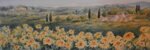 toscana-girasoli-tuscany-sunflowers
