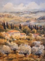 toscana-collina-e-ulivi-tuscany