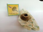 vintage-ruota-libera-regina-serie-oro-6-velocita-1421-euro-4900