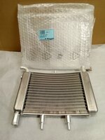 ricambi-malaguti-cod-10802000-radiatore-acqua-scooter-f15-euro-13600