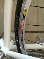 nuovo-specialized-langster-cm-54-single-speed-telaio-in-acciaio-euro-50000