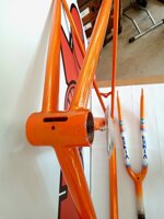 vintage-telaio-viner-modello-pro-team-cm-53-euro-80000