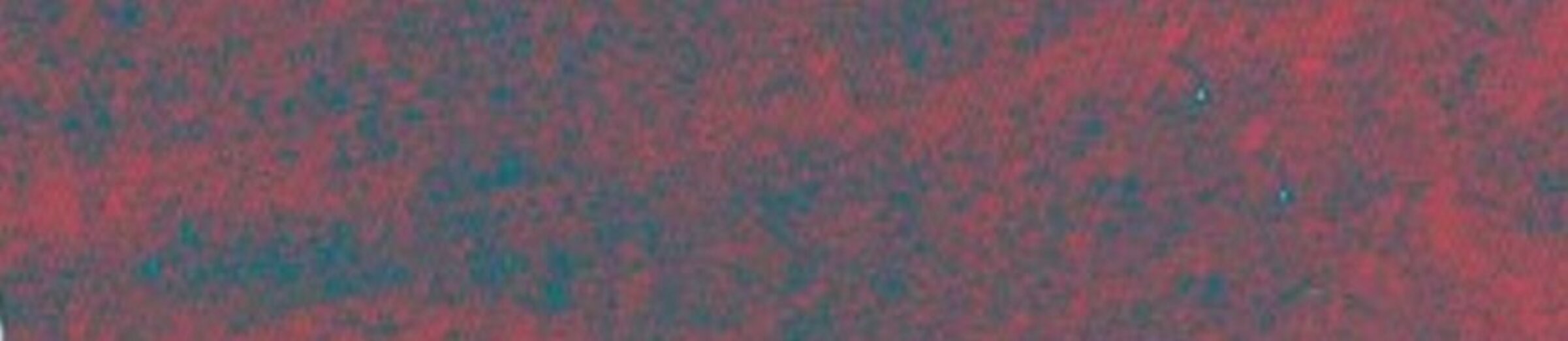 6b307206-3b81-4350-8541-cb15731cb15e