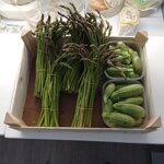 asparagi-biologici