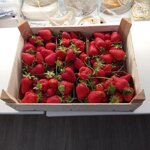 fragole-biologiche-cassetta