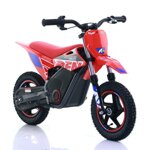 minicross-elettrico-warrior-kids-250w