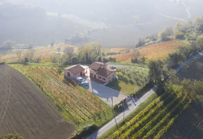 vignaestensi.jpg.webp vignaestensi.jpg.webp