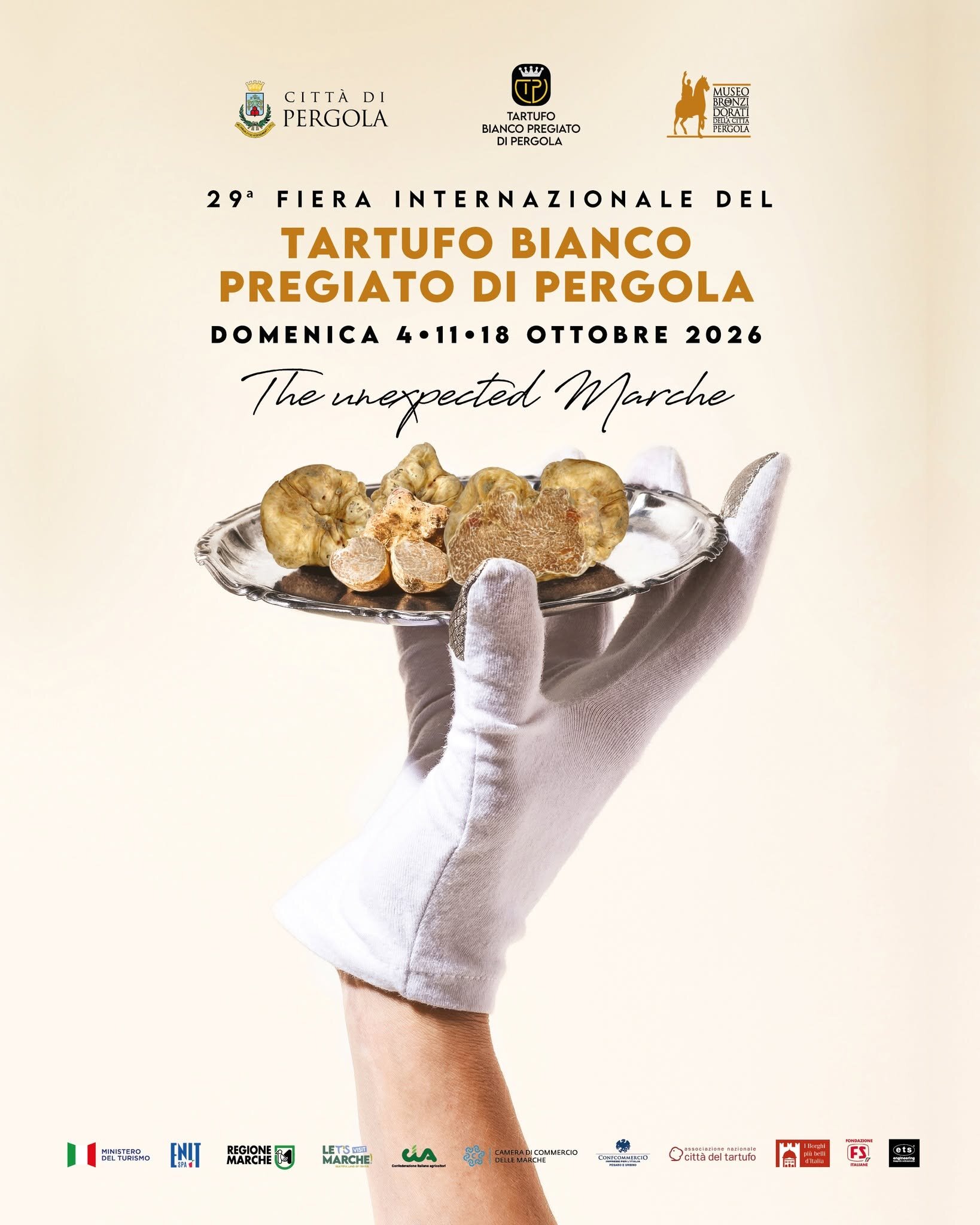 fiera-internazionale-del-tartufo-bianco-pregiato-di-pergola.jpeg fiera-internazionale-del-tartufo-bianco-pregiato-di-pergola.jpeg