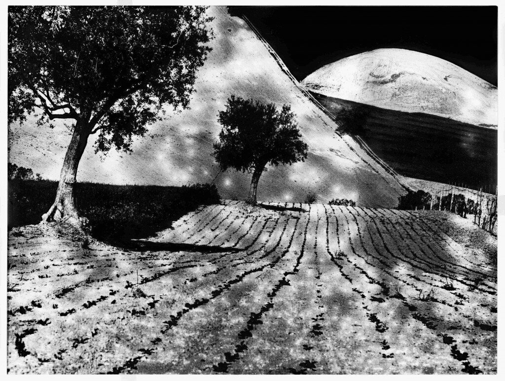 Photomusic Boutique Rooms: l'avamposto ideale per scoprire l'entroterra di Senigallia
