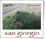 sanluri - s.giorgio - copia.jpeg