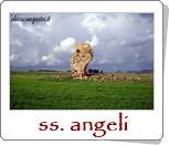 1aac1728c3583b12c36737389e7d4ff462e3981c