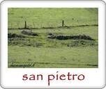 36afb16d3e8553cb9de7a0a84218764df0cc8239
