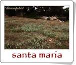 a8650626aebec7a1420275847647d9c39bcc4dfa