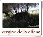 c50bed1d3cba8b58839d944eeb357a460e97b0f9