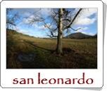 faa4fedadadc807694d0cb9b7fad592f99ced14b