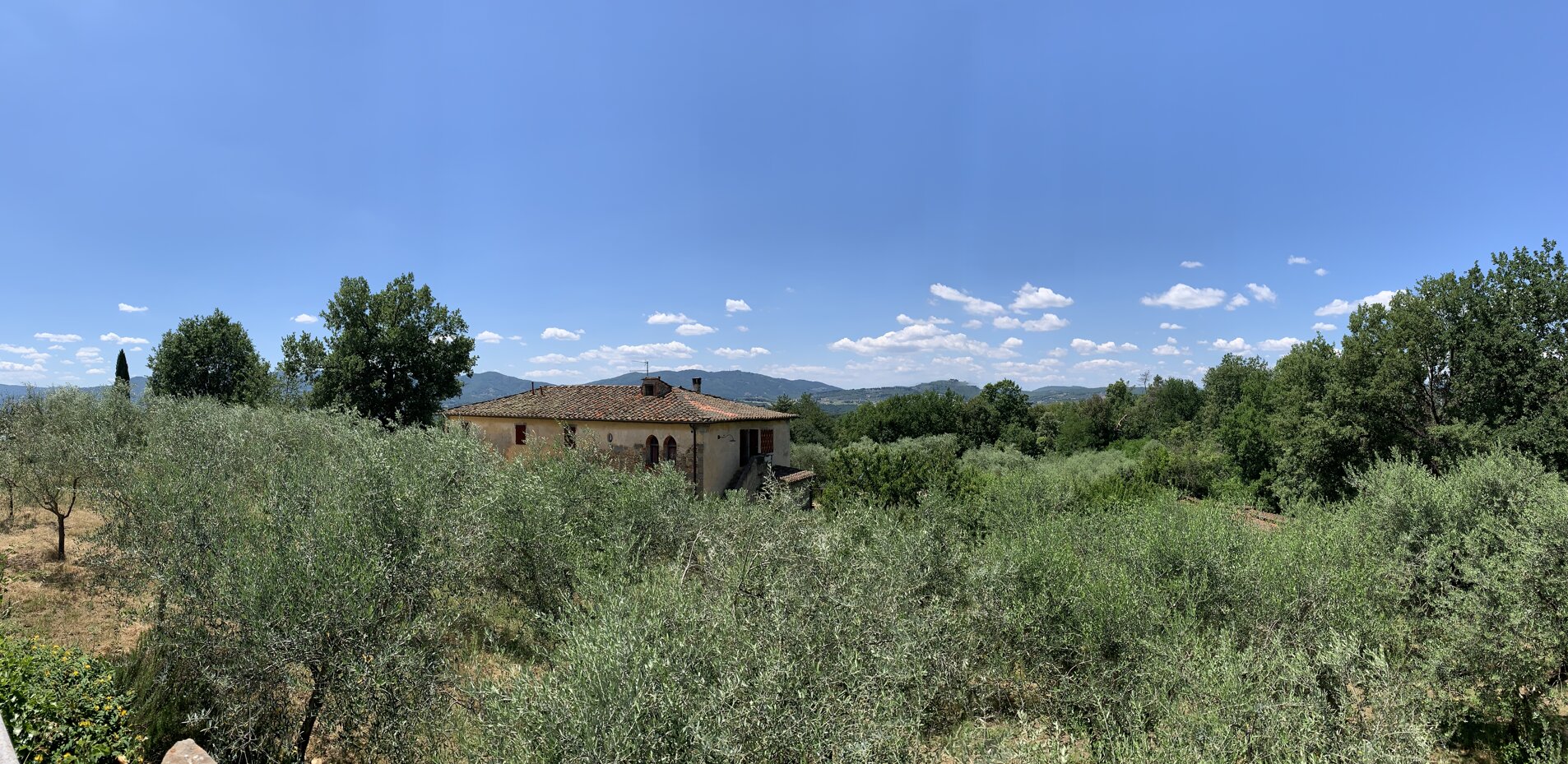 img_4948.jpeg