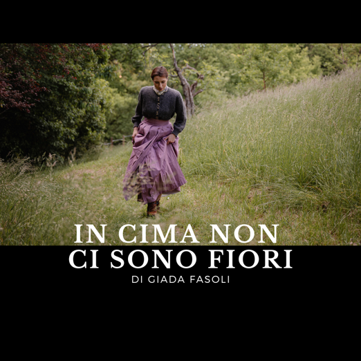 _2. in cima non ci sono fiori - web