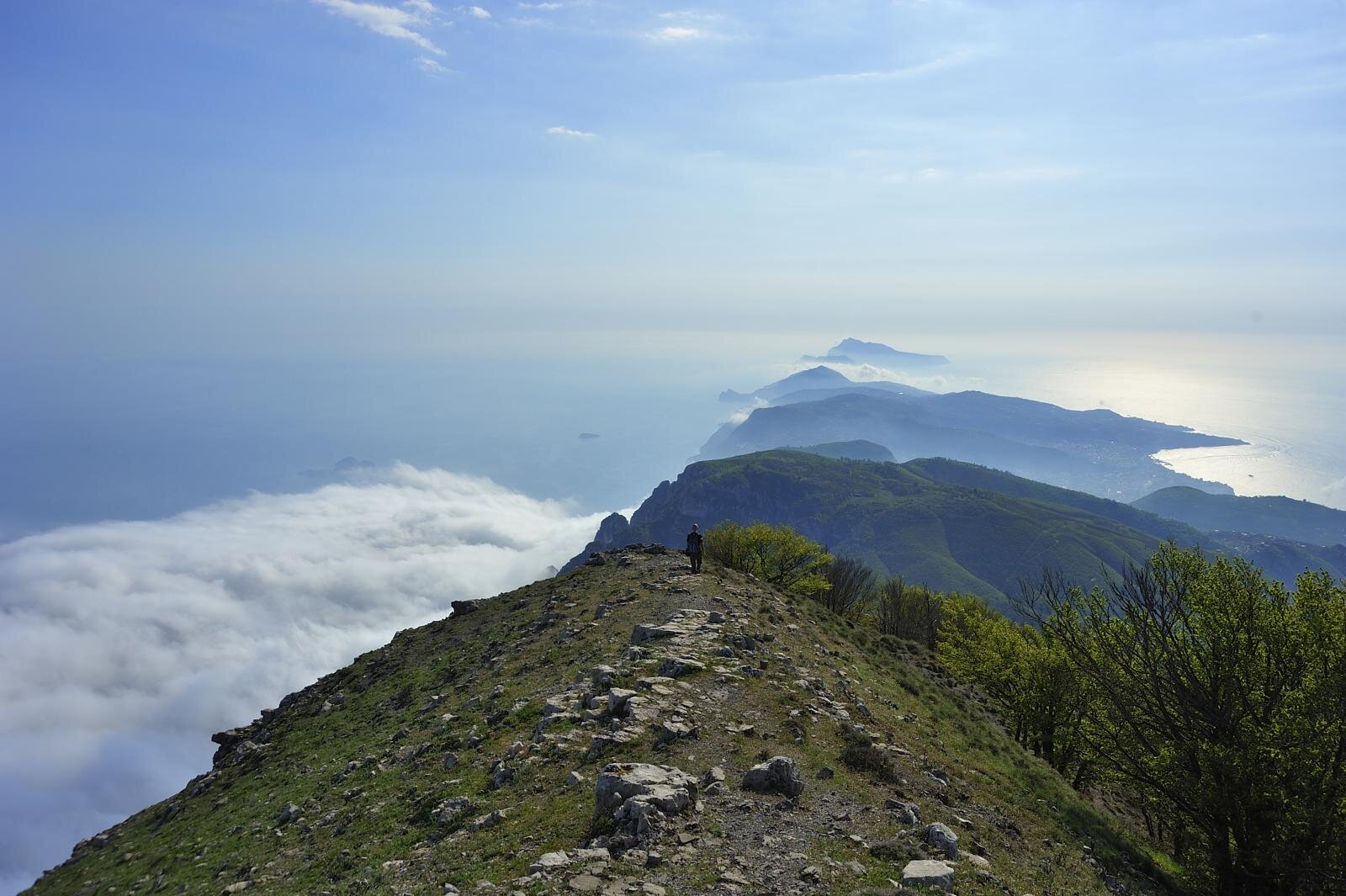 vico24.jpeg vico24.jpeg