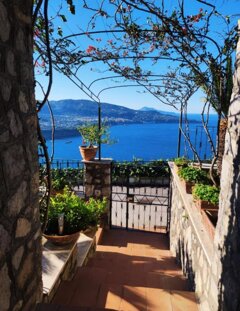 whatsapp image 2026-02-09 at 10.17.52.jpeg