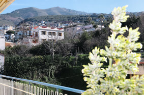 3347821450-00056096mariella foto 5.jpeg