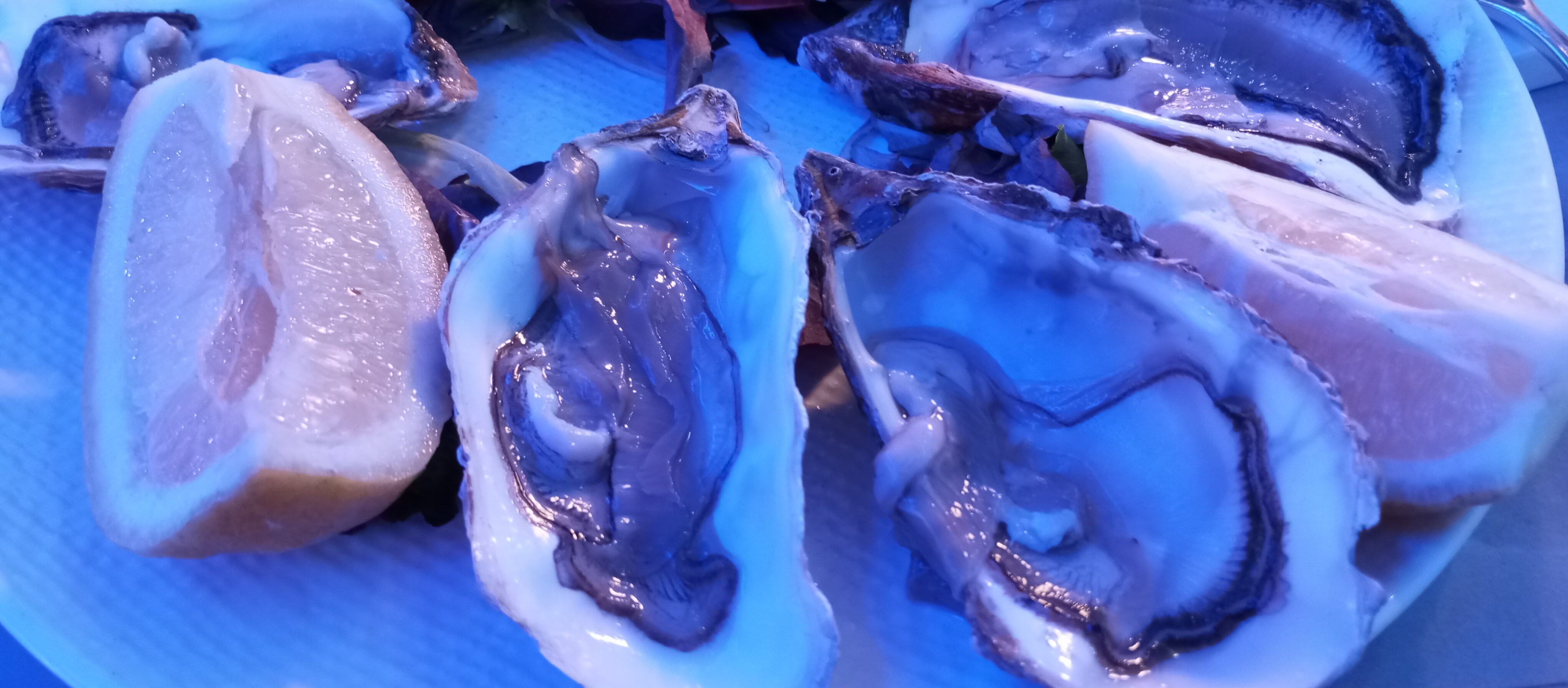 img_20250420_195802.jpeg img_20250420_195802.jpeg