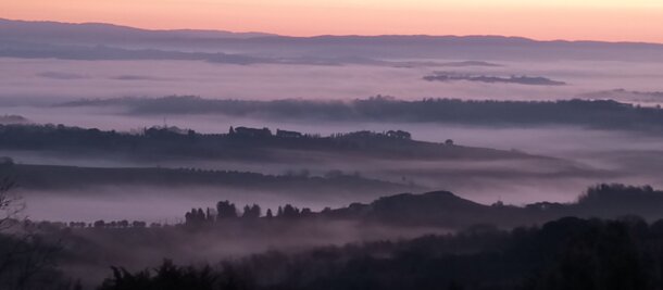 img_20250210_070251.jpeg img_20250210_070251.jpeg