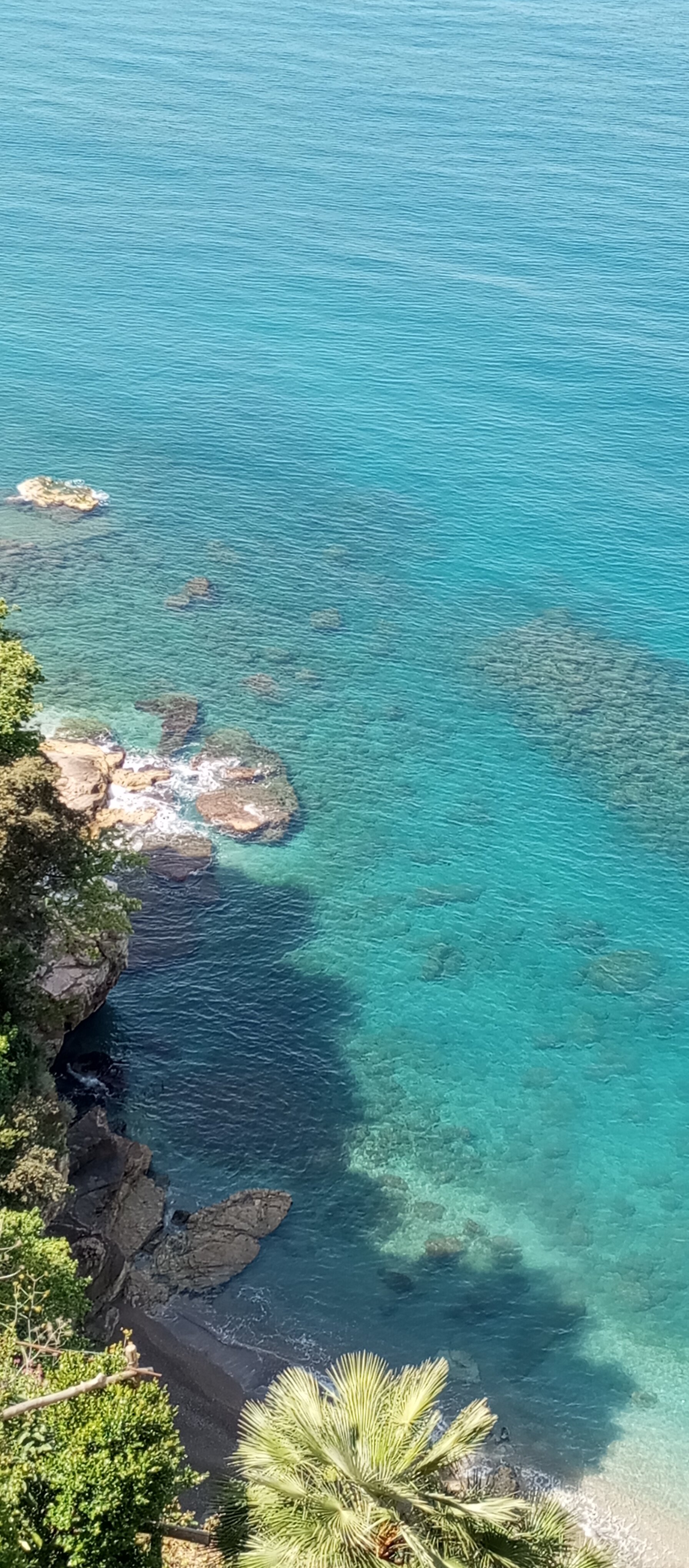 img_20250420_115857.jpeg img_20250420_115857.jpeg