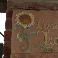 ek4a4718.jpeg ek4a4718.jpeg